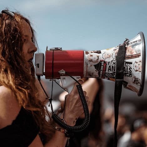 Amplification Strategy