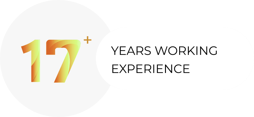 17 years working experience