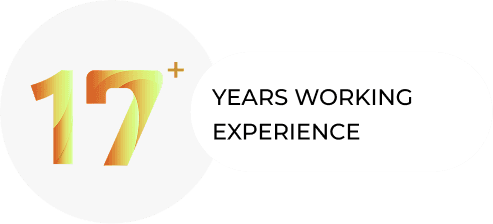 17 years working experience