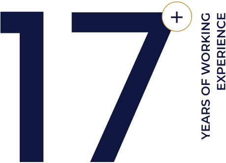 17 years of experience