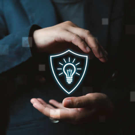 Intellectual Property Protection