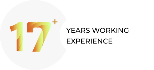17 years working experience